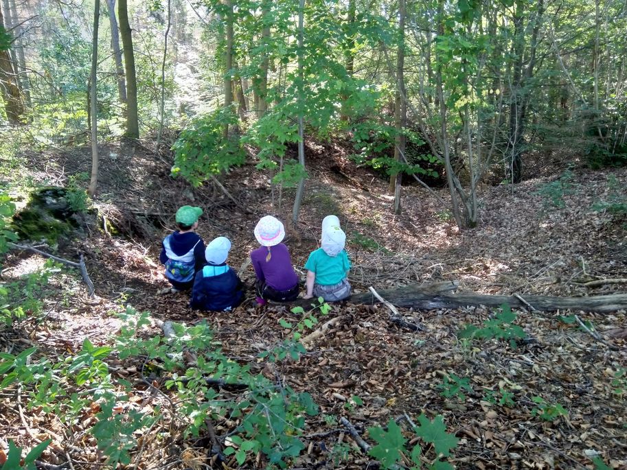 Kinder erleben die Ruhe des Waldes Kinder erleben die Ruhe des Waldes
